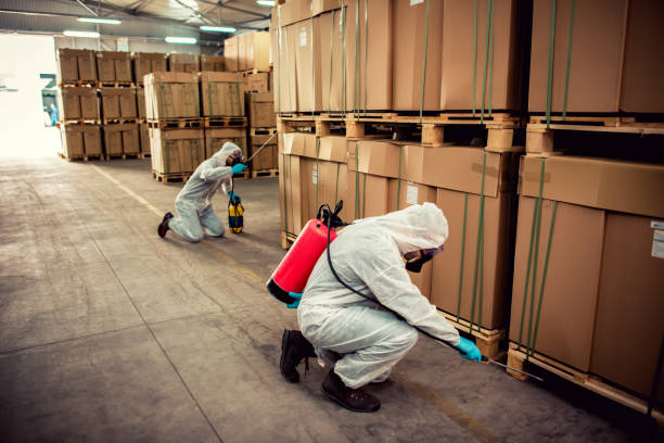 Best Ant Control Services  in Rinna, VA