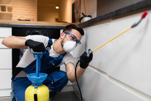 Best Mosquito Control Services  in Rinna, VA