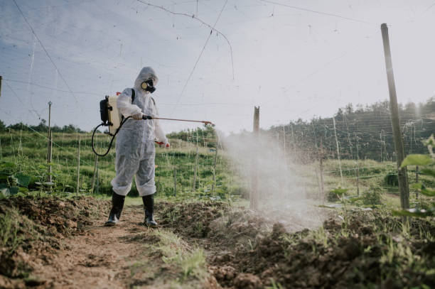 Best Pest Control Cost  in Rinna, VA