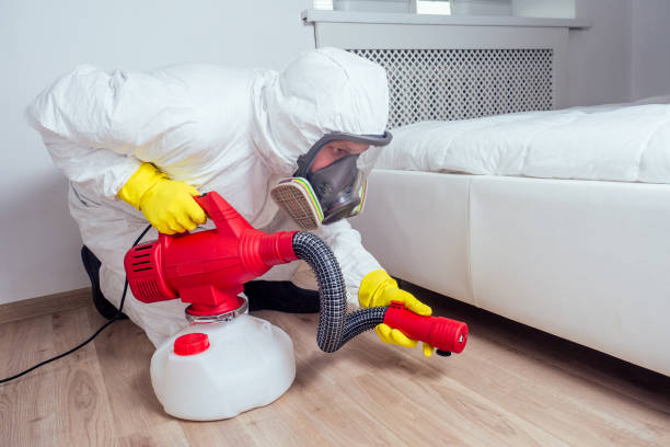 Best Flea Control Services  in Rinna, VA