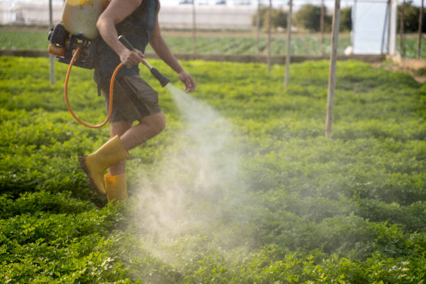 Best Pest Control Treatment  in Rinna, VA