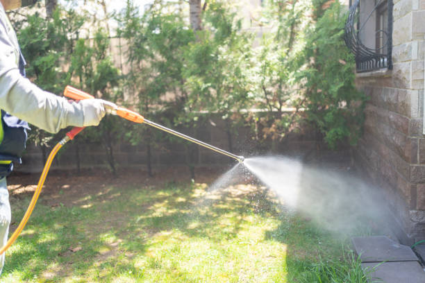 Best Pest Control Near Me  in Rinna, VA