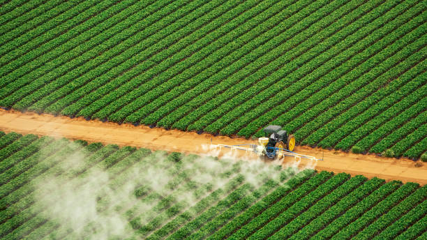 Best Mosquito Control Services  in Rinna, VA