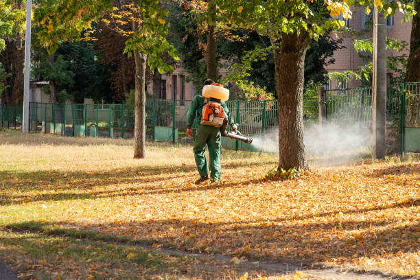 Best Bed Bug Extermination  in Rinna, VA
