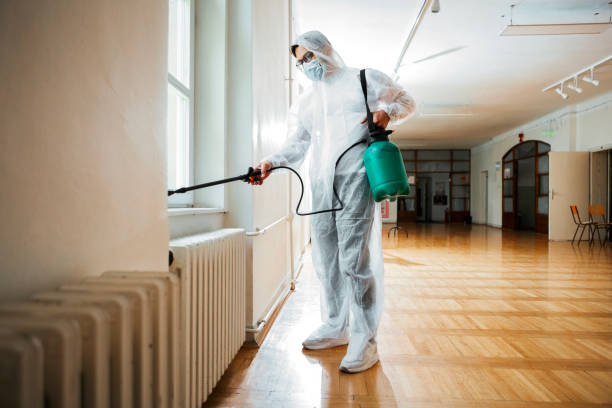 Best Pest Control for Businesses  in Rinna, VA