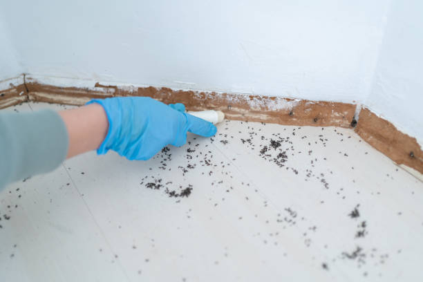 Rivanna, VA Pest Control Company