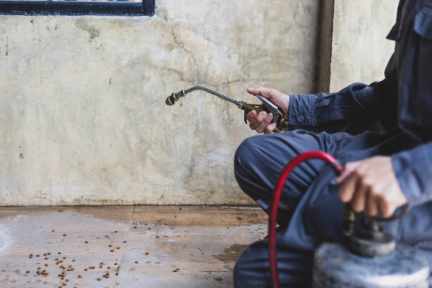 Best Best Pest Control Companies  in Rinna, VA