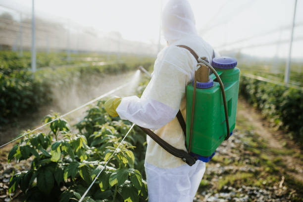 Best Pest Control Near Me  in Rinna, VA